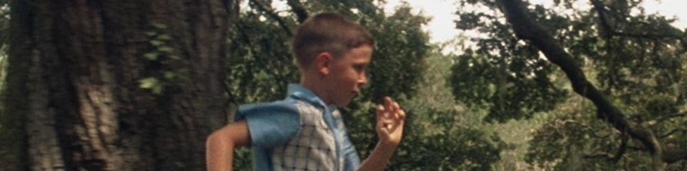 Forrest Gump Run Cost