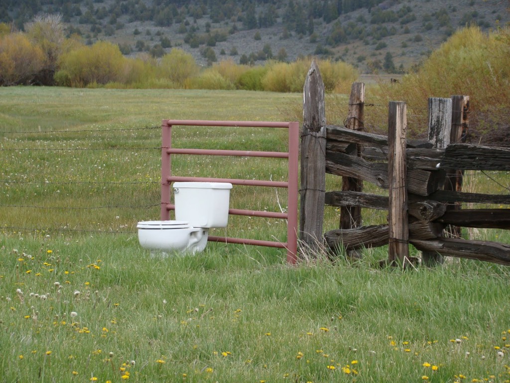 toilet in field